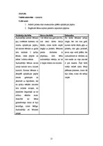 Prakses atskaite 'Aktīvā mācību un audzināšanas prakse pirmsskolā', 25.