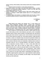 Referāts 'Reklāma. Valoda. Cilvēks', 8.