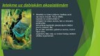 Prezentācija 'Cilvēka ietekme uz ekosistēmam', 9.