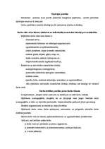 Paraugs 'Sekretāres personas lieta', 18.