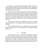 Referāts 'Sūnu graffiti', 5.