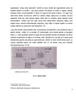 Referāts 'Sūnu graffiti', 6.