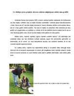 Referāts 'Sūnu graffiti', 9.