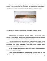 Referāts 'Sūnu graffiti', 14.