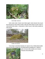 Referāts 'Sūnu graffiti', 16.