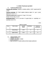 Biznesa plāns 'SIA "Vans" biznesa plāns', 3.