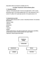 Biznesa plāns 'SIA "Vans" biznesa plāns', 8.