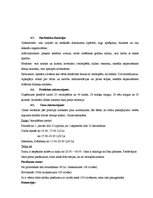 Biznesa plāns 'SIA "Vans" biznesa plāns', 9.