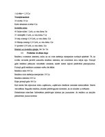 Biznesa plāns 'SIA "Vans" biznesa plāns', 10.