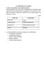 Biznesa plāns 'SIA "Vans" biznesa plāns', 11.