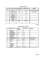 Biznesa plāns 'SIA "Vans" biznesa plāns', 14.