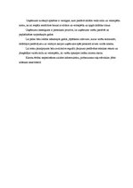 Biznesa plāns 'SIA "Vans" biznesa plāns', 16.