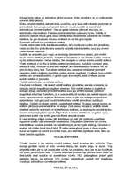 Referāts 'Atmiņa', 7.