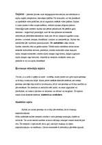 Referāts 'Atmiņa', 26.