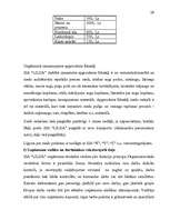 Referāts 'Uzņēmējdarbības novērtēšana', 28.