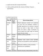 Referāts 'Uzņēmējdarbības novērtēšana', 30.