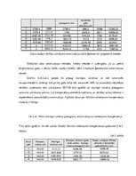 Referāts 'Jauna autoparka iegāde uzņēmumā, tā realizācija', 30.