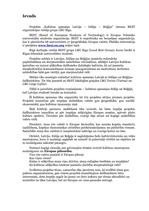 Referāts 'Projektu vadīšana. Kultūras apmaiņa', 3.