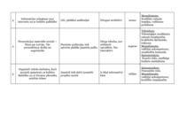 Referāts 'Projektu vadīšana. Kultūras apmaiņa', 10.