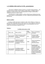 Referāts 'Projektu vadīšana. Kultūras apmaiņa', 11.