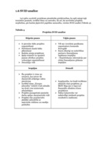 Referāts 'Projektu vadīšana. Kultūras apmaiņa', 13.