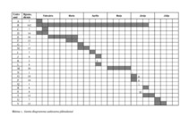 Referāts 'Projektu vadīšana. Kultūras apmaiņa', 20.