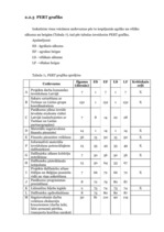 Referāts 'Projektu vadīšana. Kultūras apmaiņa', 21.