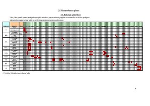 Referāts 'Projektu vadīšana. Kultūras apmaiņa', 40.