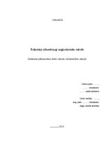 Referāts 'Tulkotāja viltus draugi angļu - latviešu valodā', 1.