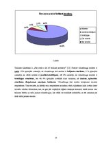 Referāts 'Tulkotāja viltus draugi angļu - latviešu valodā', 19.