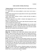 Referāts 'Tulkotāja viltus draugi angļu - latviešu valodā', 34.