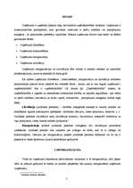 Referāts 'Komercdarbības reorganizācija un likvidācija', 3.