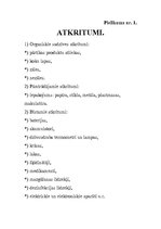 Referāts 'Atkritumi mūsu bērnudārza apkārtnē', 12.