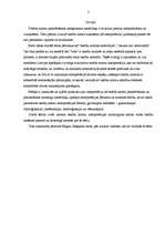 Referāts 'Tiesību normu interpretācijas pamatveidi', 3.