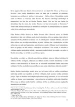 Referāts 'Politiskais režīms Krievijā', 11.