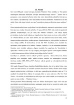 Referāts 'Politiskais režīms Krievijā', 23.