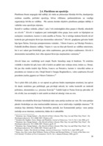 Referāts 'Politiskais režīms Krievijā', 26.