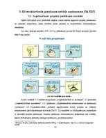 Referāts 'ES struktūrfondi un to darbība Latvijā', 61.