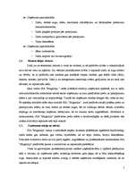 Biznesa plāns 'Ziedu mazumtirdzniecība', 2.