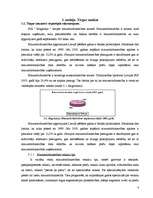 Biznesa plāns 'Ziedu mazumtirdzniecība', 8.