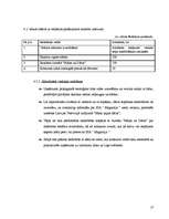 Biznesa plāns 'Ziedu mazumtirdzniecība', 17.