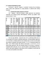 Biznesa plāns 'Ziedu mazumtirdzniecība', 23.