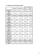 Biznesa plāns 'Ziedu mazumtirdzniecība', 26.