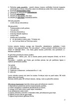 Konspekts 'Valsts pārvaldes sistēmas organizācija', 13.