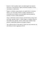 Konspekts 'Konspekts par leksikoloģijas jēdzieniem', 4.