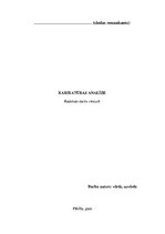 Konspekts 'Karikatūras "The Temporary Triangle" analīze', 1.