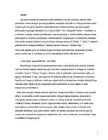 Konspekts 'Rīgas dibināšana. Viedokļi', 3.