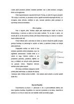 Konspekts 'Informācijas ievades ierīces', 7.