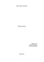 Referāts 'Divupes kultūra', 1.