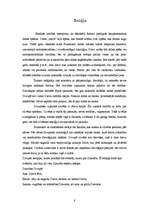 Referāts 'Divupes kultūra', 8.